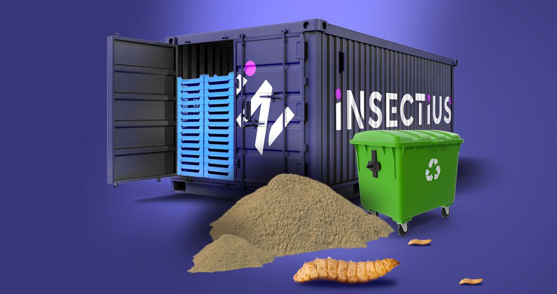 Bioconversión de desechos orgánicos: Un enfoque sostenible