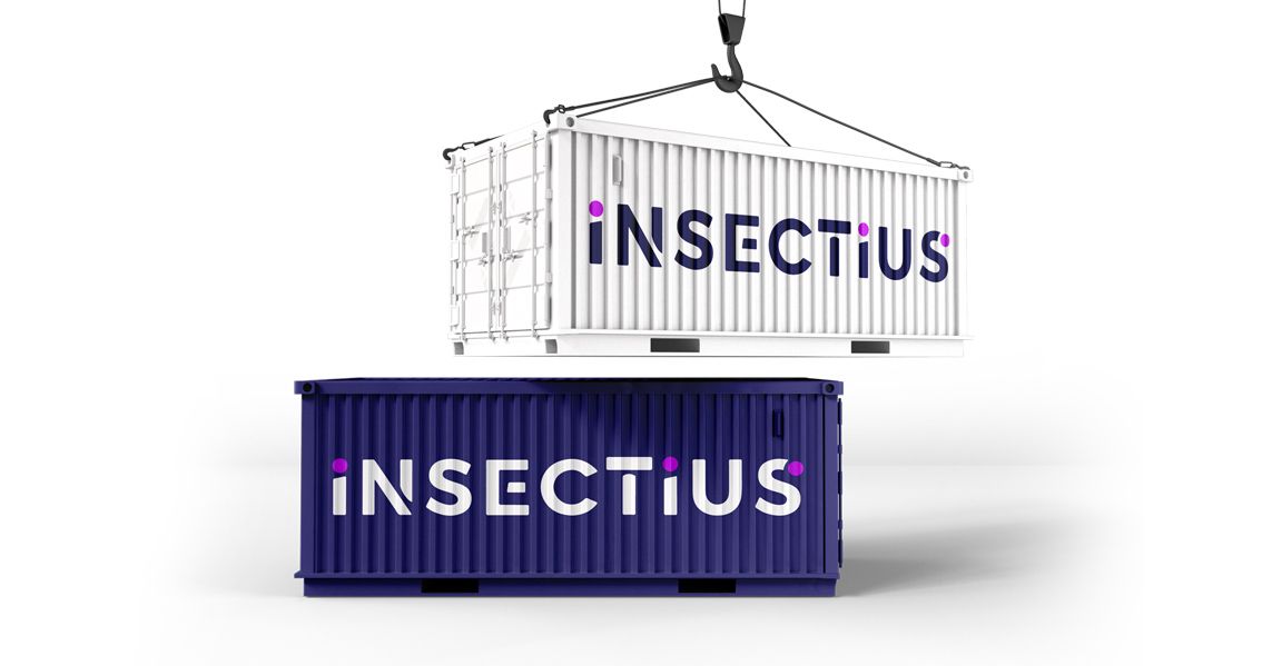 How to Grow Your Own BSF Larvae for Animal Feed