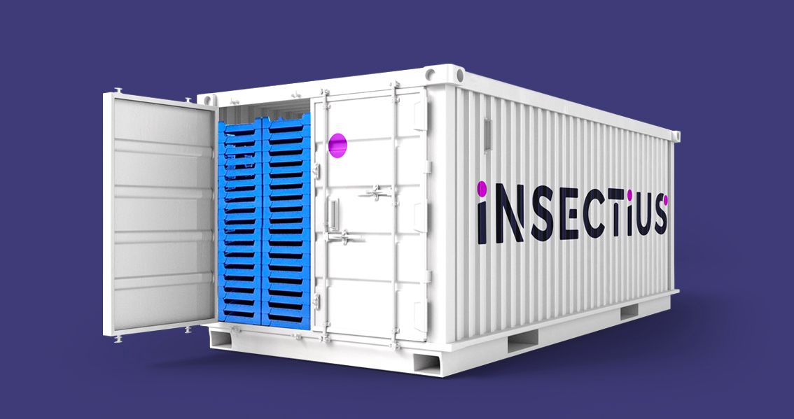 How to Set Up a Successful Modular BSF Farm