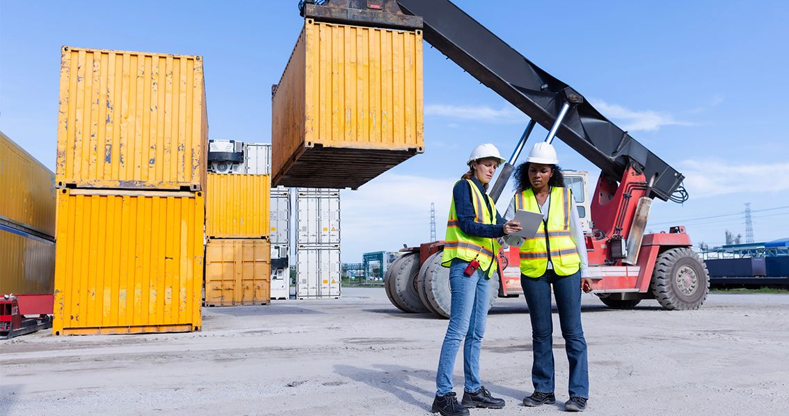 Invertir en franquicias de Insectius: una visión hacia el futuro