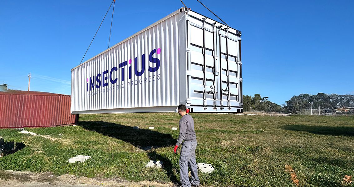How to Start a Profitable Black Soldier Fly Farm in 40-Foot Containers